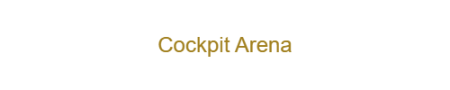 Cockpit Arena