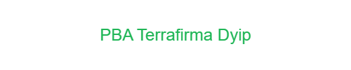 PBA Terrafirma Dyip